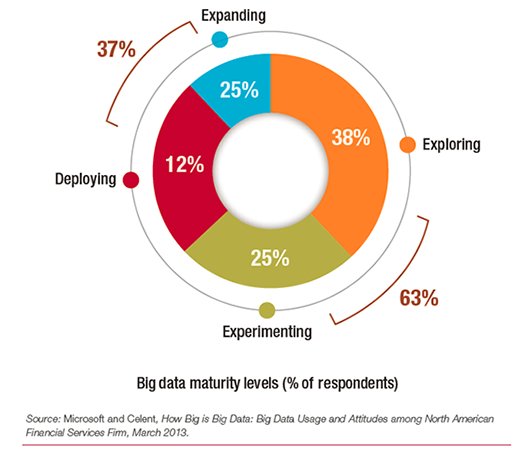 Big Data Maturity levels