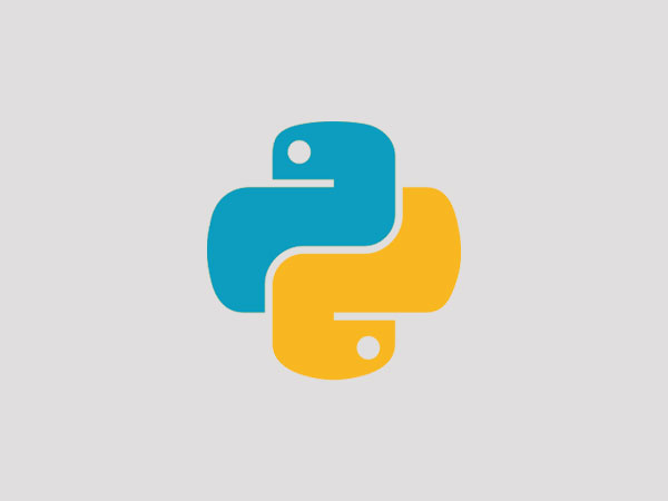 How businesses are approaching Python in 2019